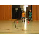 Inlinern Jung