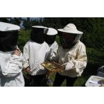 Bienen
